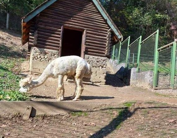 Pionirska dolina i zoološki vrt spremni za zimu i niske temperature