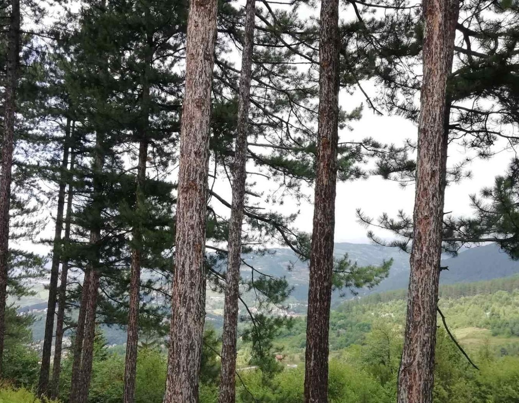 U Sarajevu pretežno oblačno vrijeme