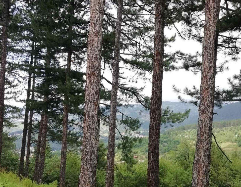 Danas umjereno do pretežno oblačno vrijeme