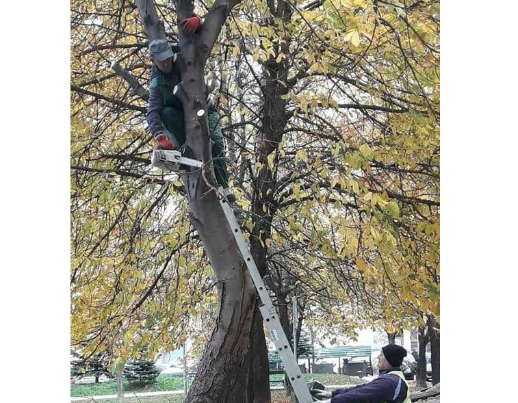 KJKP "Park" d.o.o. Sarajevo uspješno realizirao 150 projekata