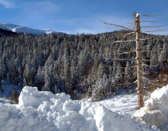 Narednih dana temperature zraka u blagom porastu