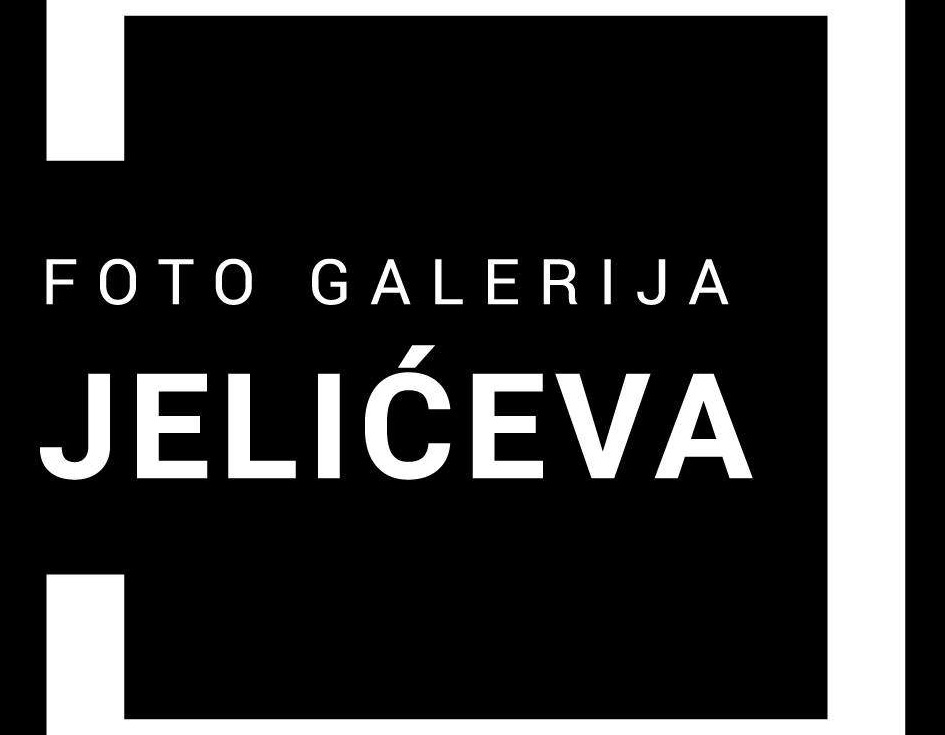 Otvorena izložba grafika u Foto galeriji Centra kulture i mladih