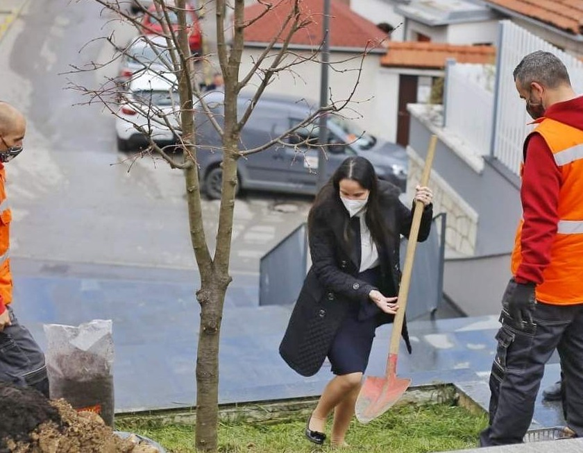 Karić: Prijedlog Gradskom vijeću da Gradska uprava kupuje proizvode samo od kompanija s FSC certifikatom