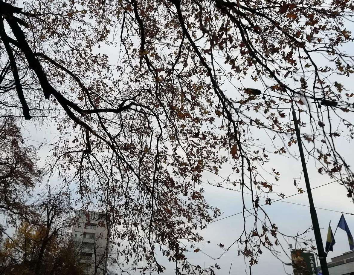 U Hercegovini i na jugozapadu Bosne vedro, u ostalim područjima oblačno