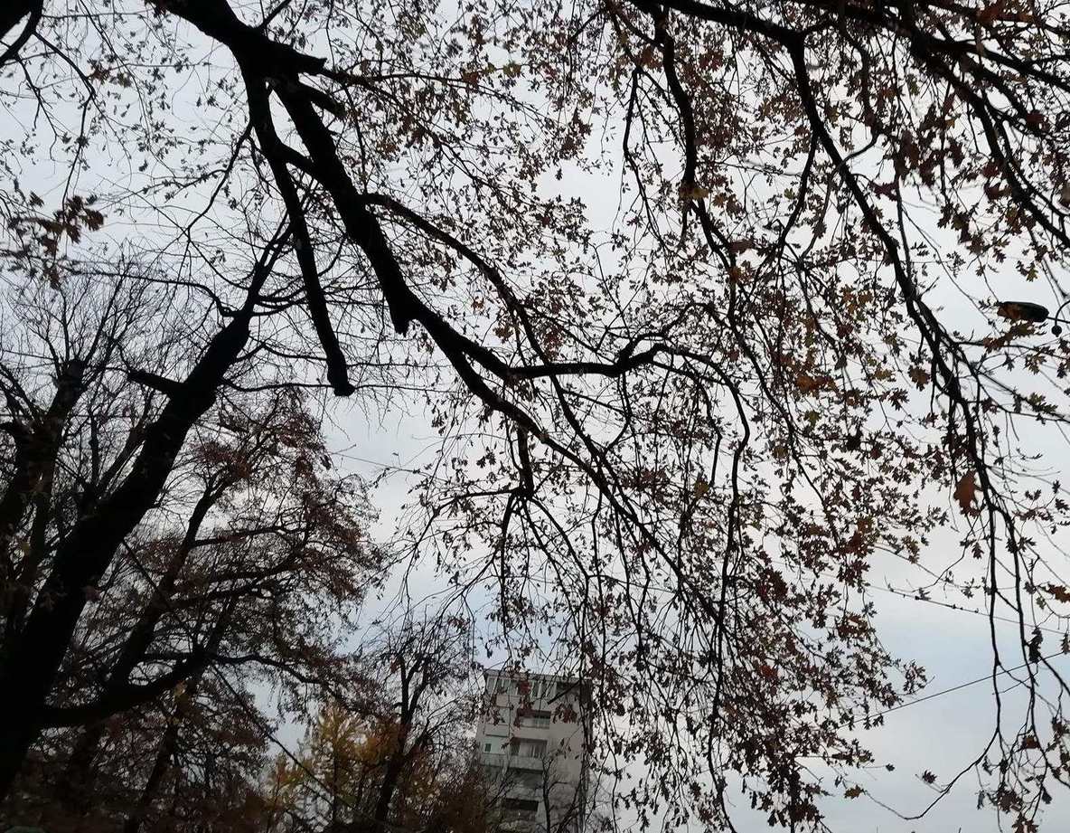 U BiH oblačno sa kišom