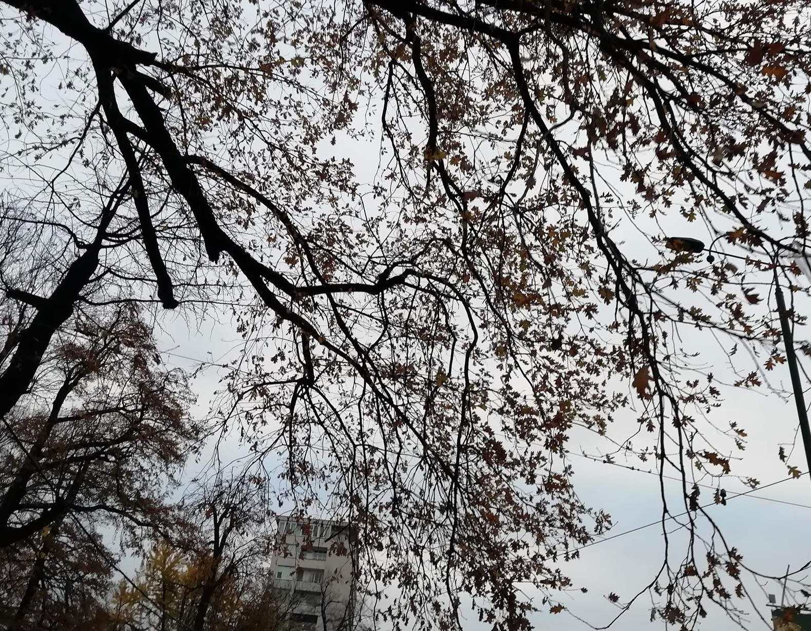 U BiH danas pretežno oblačno, na planinama se očekuje snijeg
