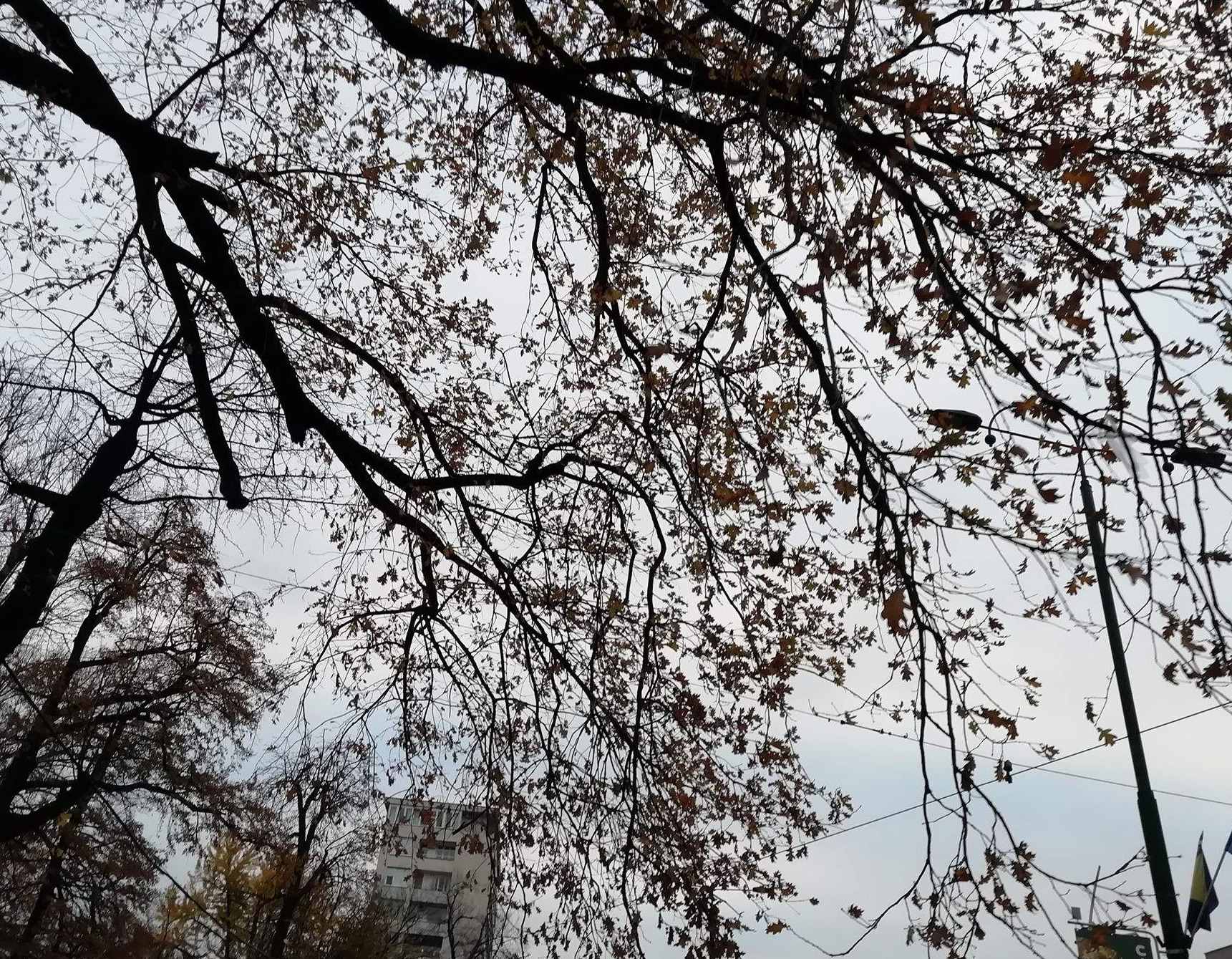 FHMZ BiH: Sve do 7. januara nestabilno vrijeme sa povremenim padavinama