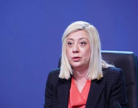 Đapo: BiH dobila pohvale Svjetske zdravstvene organizacije