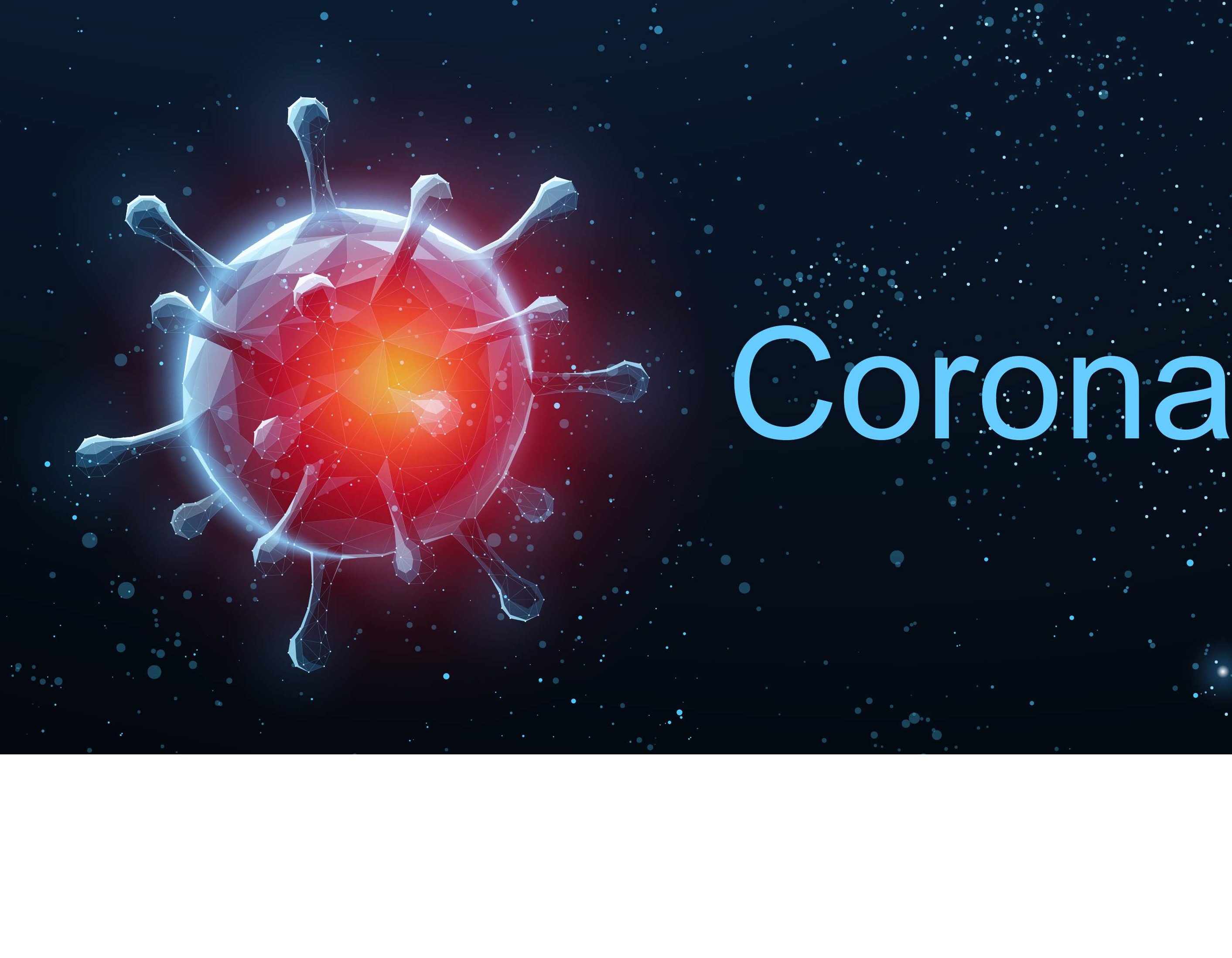 WHO - Koronavirus najvjerojatnije je životinjskog porijekla