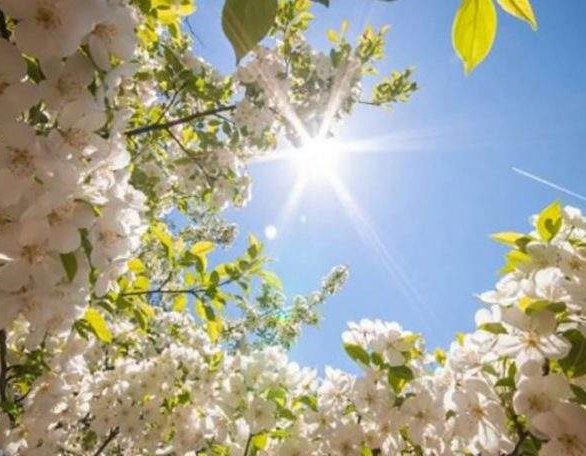 U BiH danas sunčano: Temperature čak do 27 stepeni