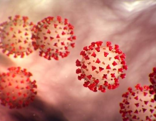 FBiH: U protekla 24 sata testirano 874 uzorka na koronavirus, tri pozitivna