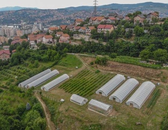 Općina Novi Grad objavila poziv za podsticaje u poljoprivredi